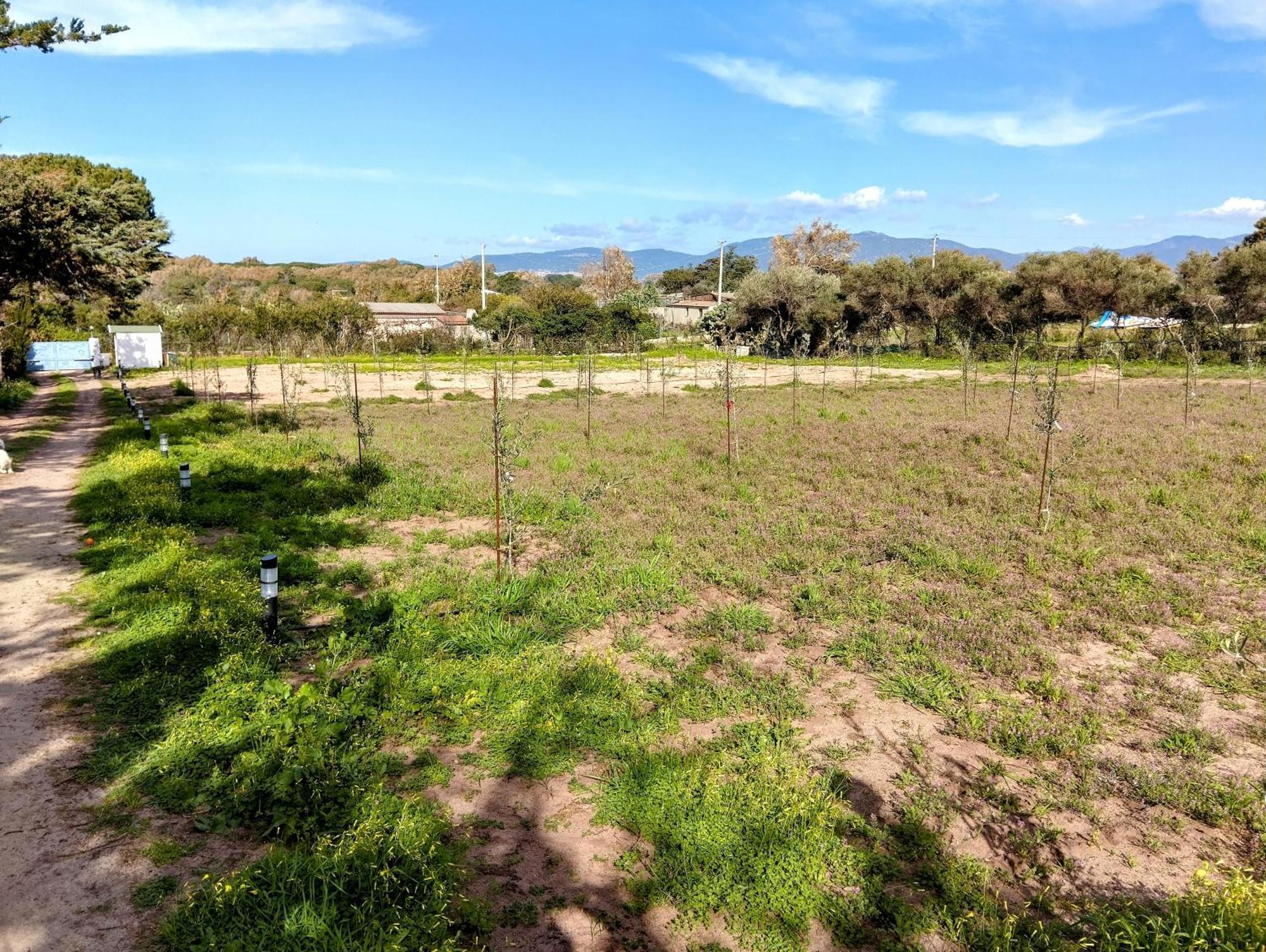 Appartamento Terra Valledoria  Esterno foto