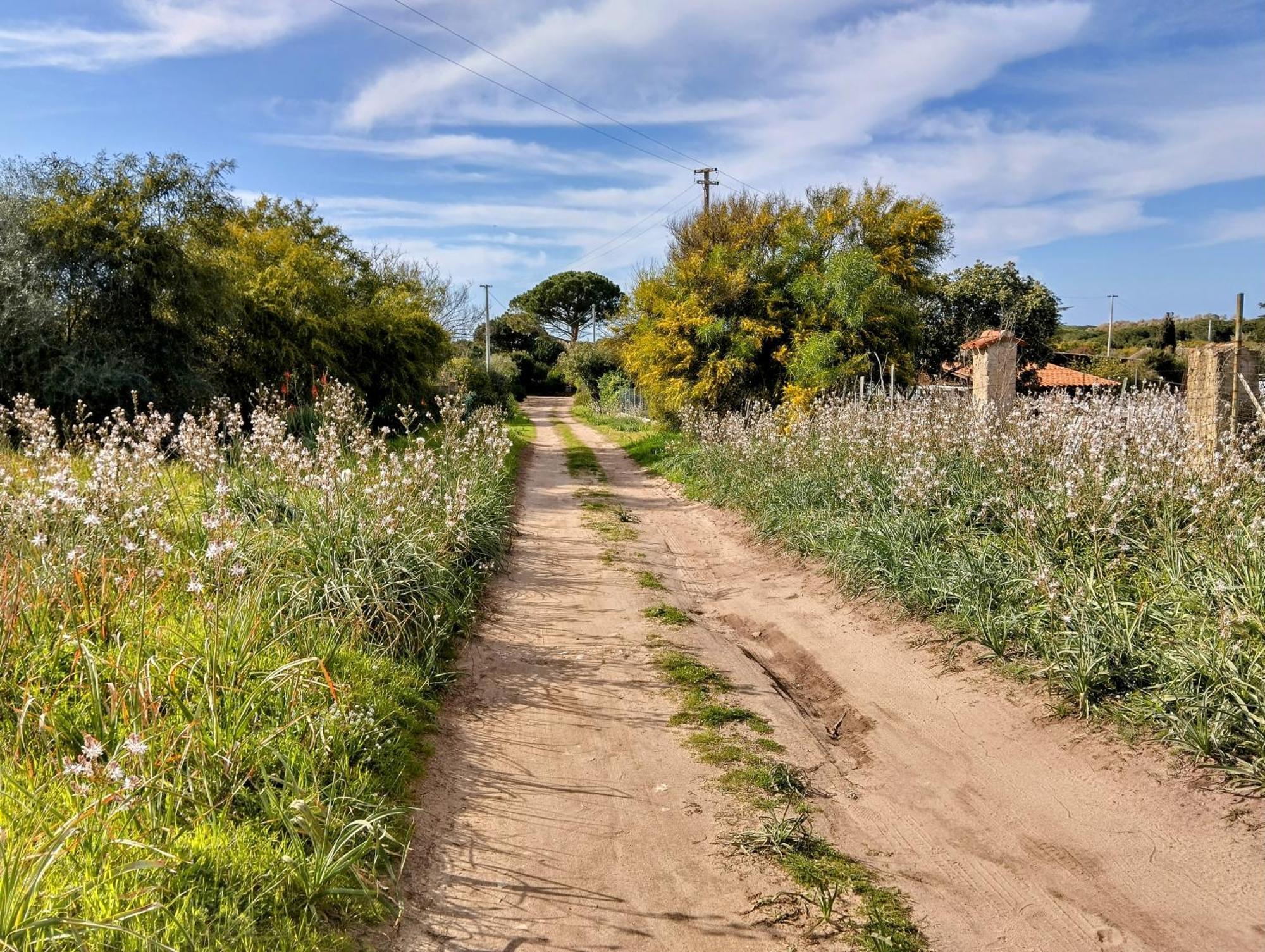 Appartamento Terra Valledoria  Esterno foto