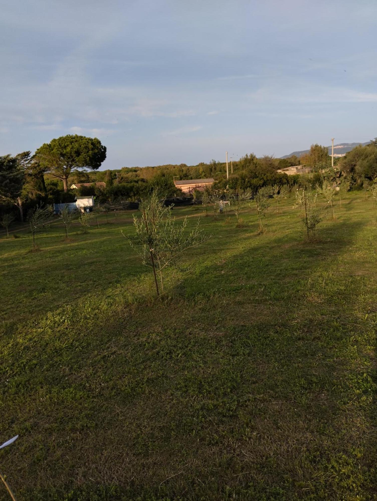 Appartamento Terra Valledoria  Esterno foto