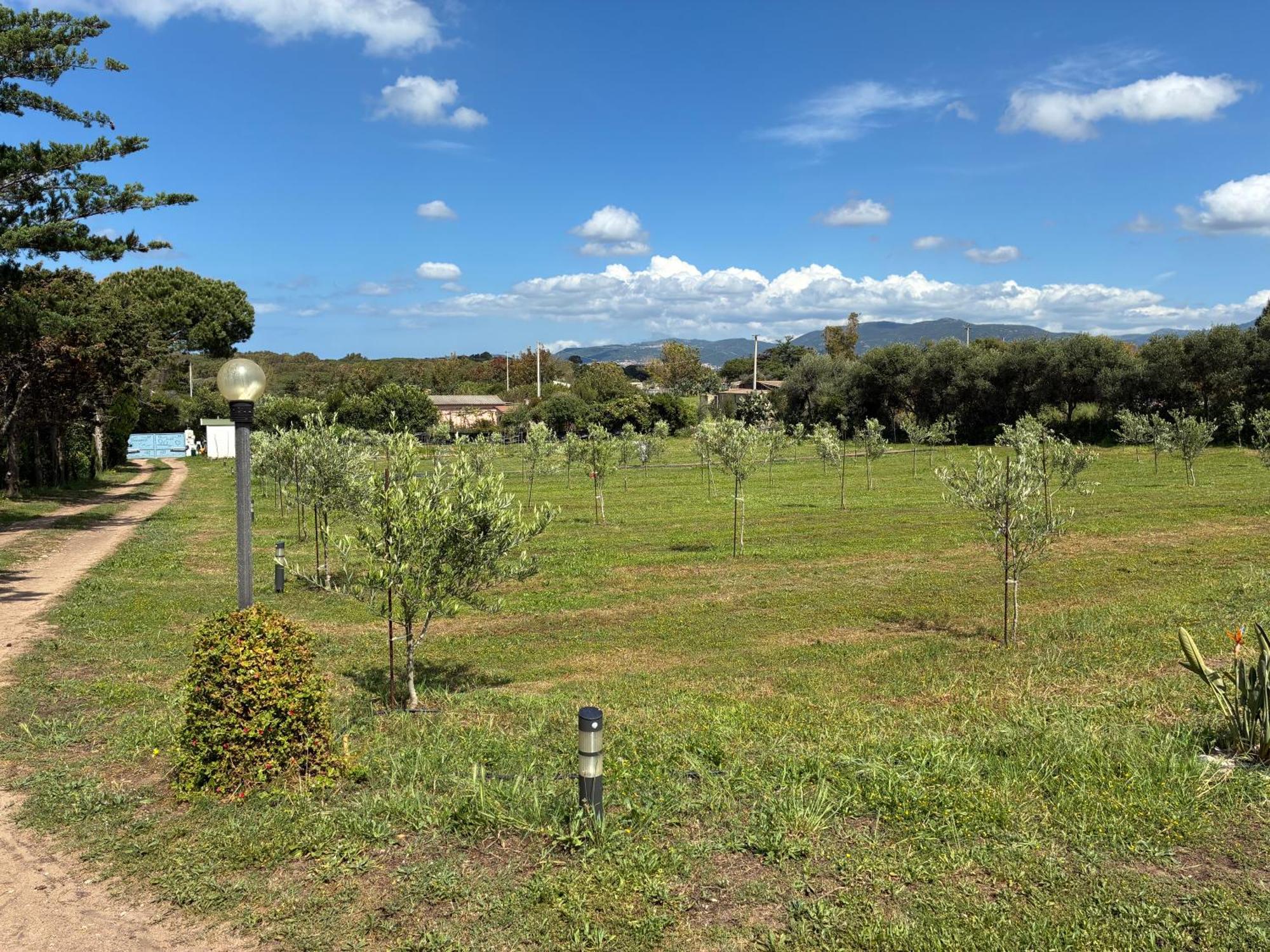 Appartamento Terra Valledoria  Esterno foto