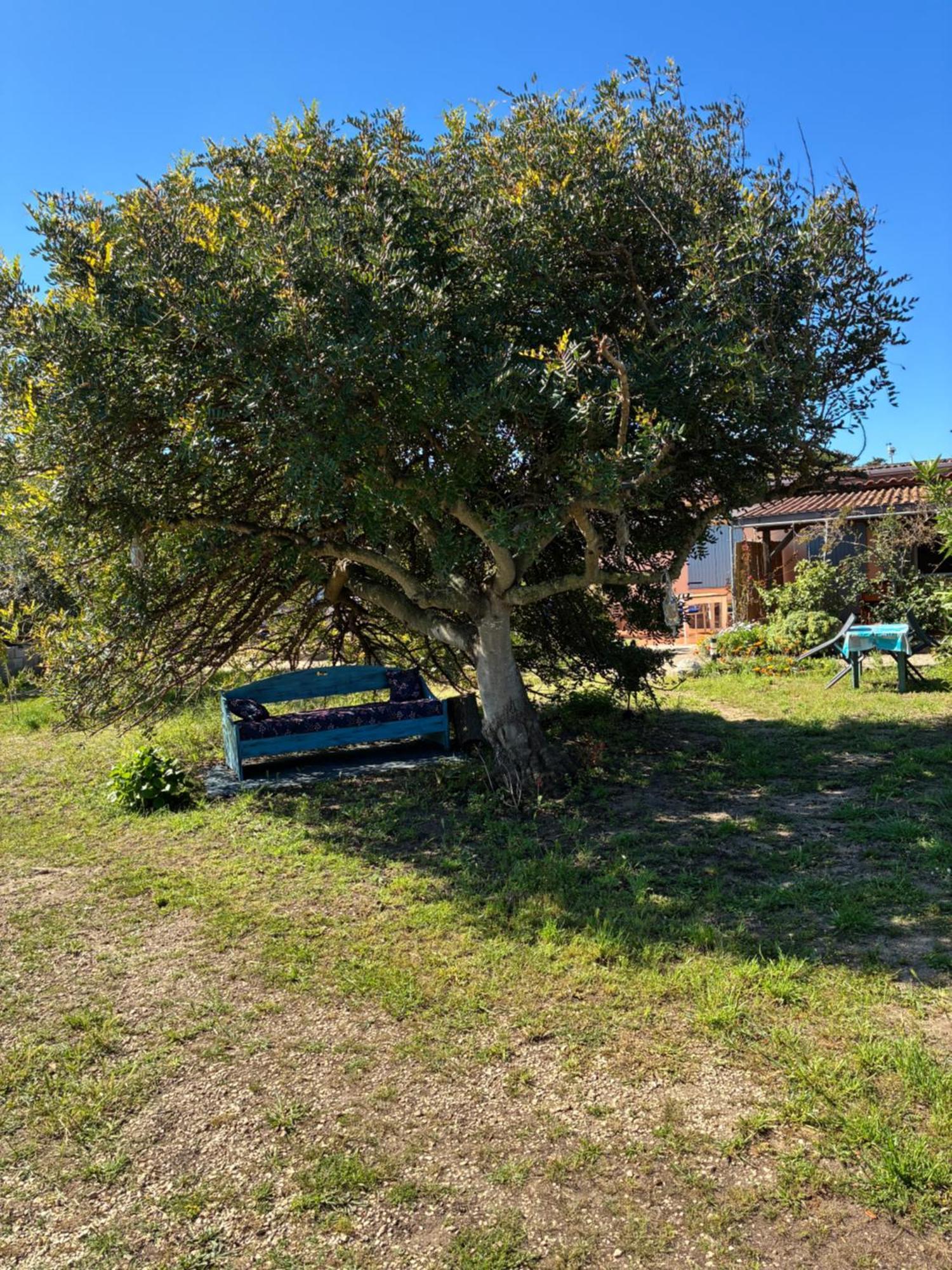 Appartamento Terra Valledoria  Esterno foto